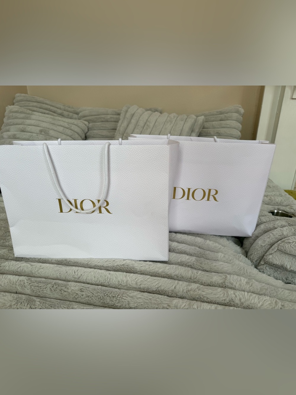 Dior Large Shopping Bag